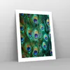Poster - Poster ohne Rahmen - Pfauen Feder Makro - 40x50 cm Produktbild-Vorschau 7