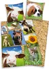 Bauernhof Tiere Bettwäsche Hund Katze Pferd 80x80 + Produktbild-Vorschau 1
