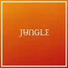 Jungle: Volcano Náhľad obrázku produktu 1