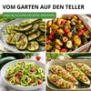 Zucchini Black Beauty Samen - Cucurbita pepo - Produktbild-Vorschau 9