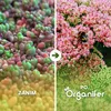 Nawóz do rozchodników i zielonych dachów - 20 kg na 400 m2 Podgląd zdjęcia produktu 2