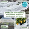 TTL GARDEN Wintervlies 50g/m² 32m² 1,6x20m Frostschutz Produktbild-Vorschau 6