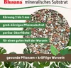 Blusana Mineralisches Pflanzsubstrat 10 Liter vorgedüngt Produktbild-Vorschau 3