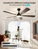 A room scene showing a ceiling fan with light, a sofa, a table, and a cat. Produktbild-Vorschau