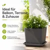Pflanztopfuntersetzer Jana Anthrazit 41 x 41 cm - Produktbild-Vorschau 7