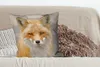 MuchoWow® Zierkissen Sofakissen Wohnzimmer Dekokissen 60x60 Produktbild-Vorschau 4
