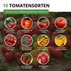 Tomatensamen Set - 10 Sorten Samen - Saatgut Sortiment - Produktbild-Vorschau 2