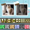 Collage of images showcasing a cat and children, with text overlays indicating camera features. Produktbild-Vorschau