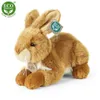 Peluche Lapin 23 Cm Ecologique Voir les images du produit 1