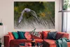 MuchoWow® Poster Ein Bussard im Tiefflug über herbstlich Produktbild-Vorschau 2