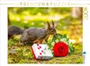 CALVENDO Puzzle Das Eichhörnchen wünscht alles Gute! 2000 Produktbild-Vorschau 2