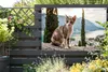 MuchoWow® Produktbild-Vorschau 5