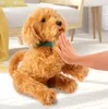 Mes amis flous Moji Labradoodle Voir les images du produit 4