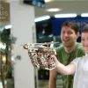 UGEARS 3D-Puzzle Rutsche mit Starter 200 Teile Produktbild-Vorschau 9