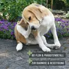 Kam gegen Vlooien und Läuse für Hunde und Katzen, weich, Produktbild-Vorschau 3