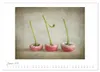 Vintage Flowers (Wandkalender 2027 DIN A2 quer), CALVENDO Produktbild-Vorschau 4