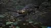 KONAMI Konami METAL GEAR SOLID Δ: SNAKE EATER Produktbild-Vorschau 7