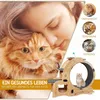 Tier-Intelligenzspielzeug Tierlaufrad Katzenlaufrad XXL mit Produktbild-Vorschau 3