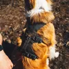 Ruffwear Ridgeline Geschirr Obsidian Black M Produktbild-Vorschau 11