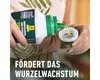 Grünpflanzendünger und Palmendünger COMPO mit extra Kalium Produktbild-Vorschau 5