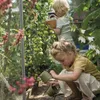 dantoy Pflanzen-Setmit Giesskanne, mehrfarbig (1 Set) Produktbild-Vorschau 18