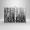 Bild auf Leinwand - Leinwandbild - Einteilig - Birken Wald Produktbild-Vorschau 3