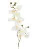 EUROPALMS Orchideenzweig, künstlich, creme-weiß, 100cm Produktbild-Vorschau 2