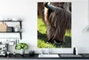 MuchoWow® Poster Schottischer Highlander - Hörner - Sonne Produktbild-Vorschau 3