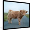 MuchoWow® Gerahmtes Poster Scottish Highlander - Straße - Produktbild-Vorschau 1