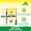 Neudorff Nützlinge gegen Ameisen – 10 Mio. SF-Nematoden Produktbild-Vorschau 3