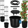 KOTARBAU® Set di 2 piante di pomodoro Fioriera ⌀ 39 cm con Anteprima dell’immagine prodotto 1