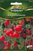 Ampeltomaten, Tumbling Tom Red F1 Produktbild-Vorschau 4