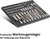 STAHLWERK Werkstattwageneinlage mit 102-teiligem Bit- und Produktbild-Vorschau 3