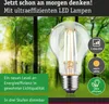 Paulmann Eco-Line Filament 230V LED Ampoule individuelle Voir les images du produit 3