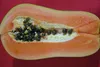 SAFLAX  - Papayer - 30 graines - Carica Voir les images du produit 8