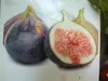 A close-up of two figs, one whole and dark purple, and the other cut in half to reveal its pink interior, with another fig partially visible in the background. Náhled obrázku produktu