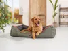 Dogs Creek Liegeplatz Mountaineer Produktbild-Vorschau 4