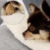 A close-up of a small brown dog resting on a white fluffy blanket, with an inset circle showing a close-up of its paws on the blanket. Náhľad obrázku produktu