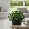 Vyveo - Blumentopf Varda - Hellgrau - 32x13x14 Produktbild-Vorschau 4