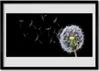 Bild 100x70 MDF-Rahmen Wandkunst Löwenzahn Blumen Natur Produktbild-Vorschau 1
