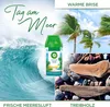 Air Wick Freshmatic Max Nachfüller 2x Tag am Meer 250ml Produktbild-Vorschau 2
