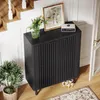 A black shoe cabinet with fluted doors is placed in a hallway next to a staircase and a door. A plant and a framed picture are on top of the cabinet. Produktbild-Vorschau