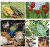 Sechskantgeflecht, Gartenzaun Maschendraht, Hasendraht Produktbild-Vorschau 8