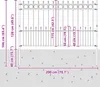 "Schlussverkauf" Gartenzaun - Spike-Ringzaun Schwarz - Produktbild-Vorschau 7