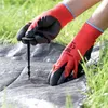 kolík kotvicí k upevnění netk. textilie PH 12,5cm (50ks) Náhled obrázku produktu 12