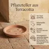 Sottobicchieri Teramico Terracotta resistenti al gelo – Ø Anteprima dell’immagine prodotto 8