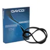 DAYCO 94919 Zahnriemen für HYUNDAI GETZ (TB) 110-Zähne Produktbild-Vorschau 2