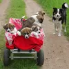 4 koła do wózka ręcznego, opony z pełnej gumy odporne na Podgląd zdjęcia produktu 5