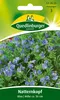 Bugloss di vipera blu Anteprima dell’immagine prodotto 1