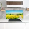 Coloray Küchenrückwand 120x60 Spritzschutz aus Glas - Produktbild-Vorschau 3